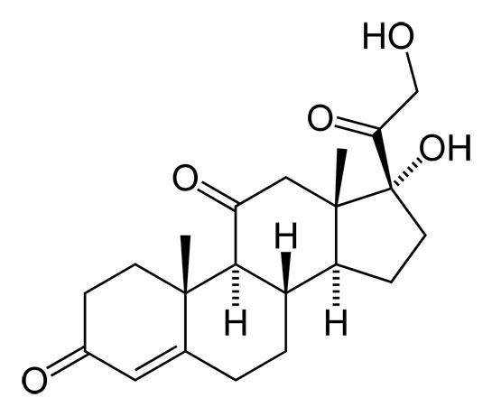 Kortizon Nedir